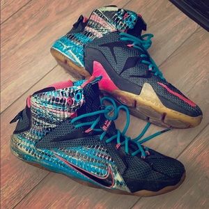 LeBron 13 chromosomes South beach colors